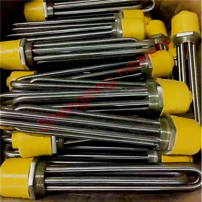 Bulgaria Khách hàng  50 Máy gia nhiệt nhúng đã sẵn sàng